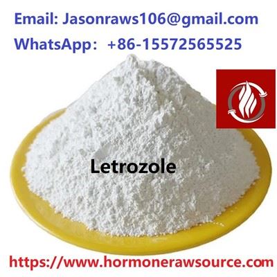 Letrozolo (Femara) milteliai kultūrizmui CAS:112809-51-5